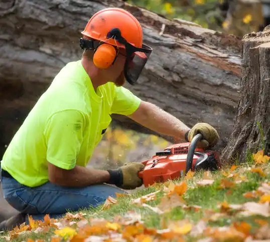 tree services Tarrytown